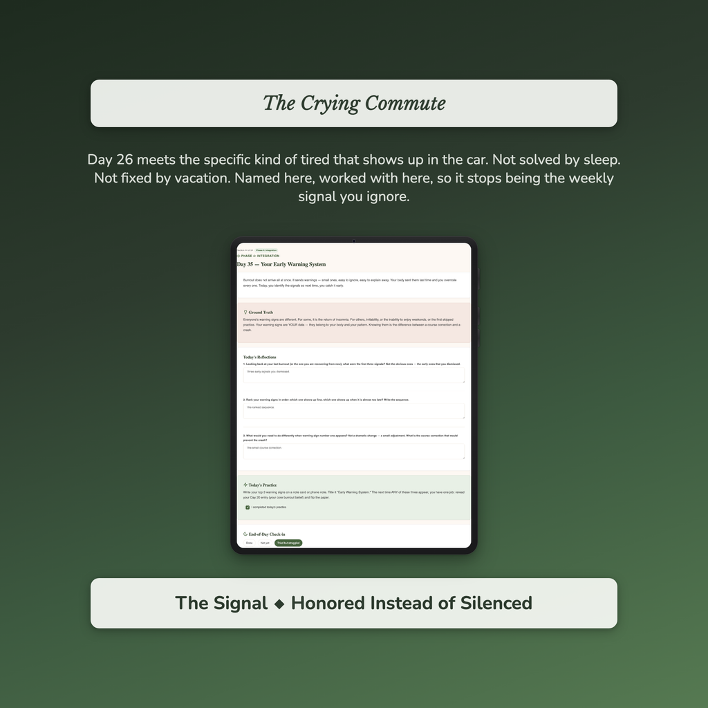 Burnout Workbook & 40-Day Guide — sample profile or chart
