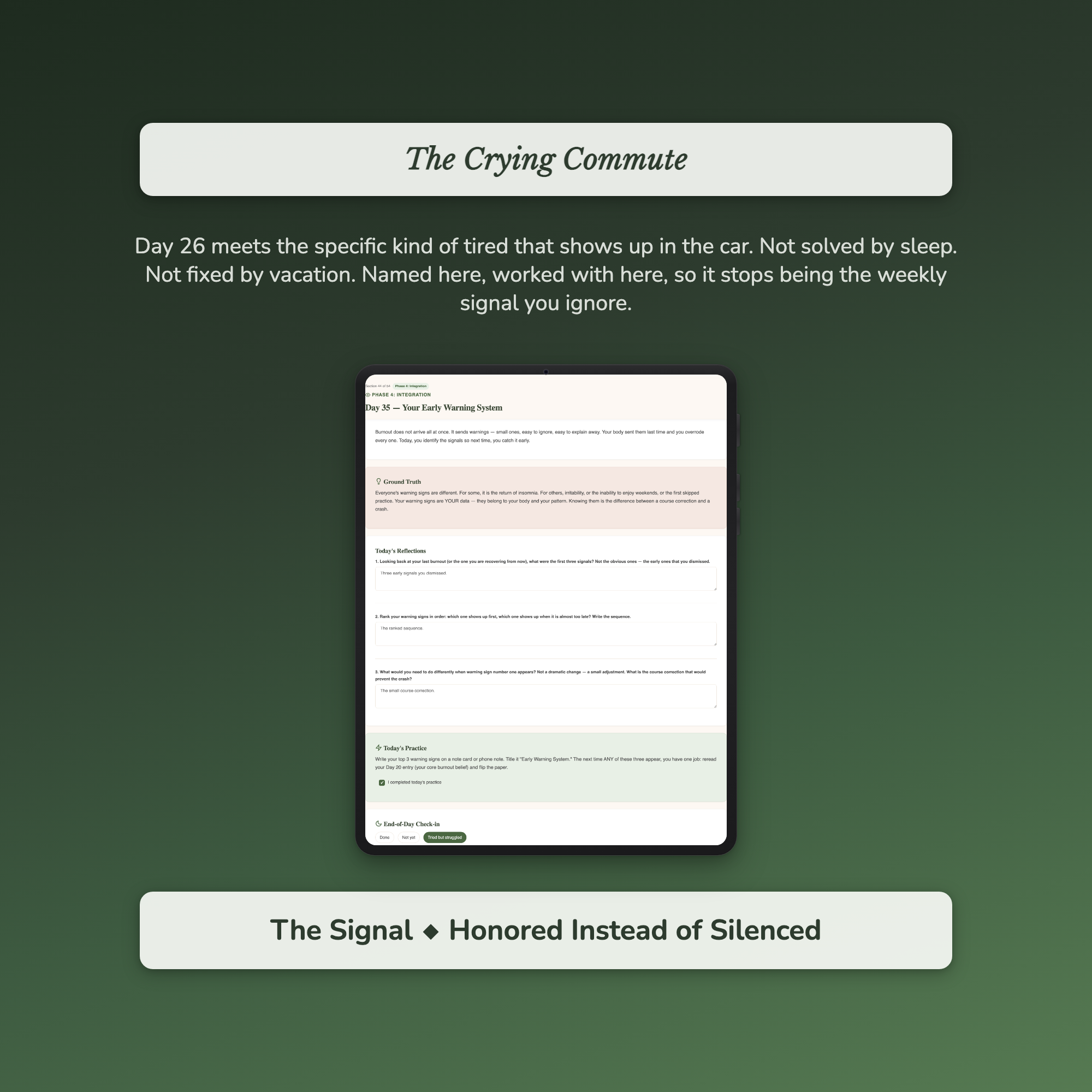 Burnout Workbook & 40-Day Guide — sample profile or chart