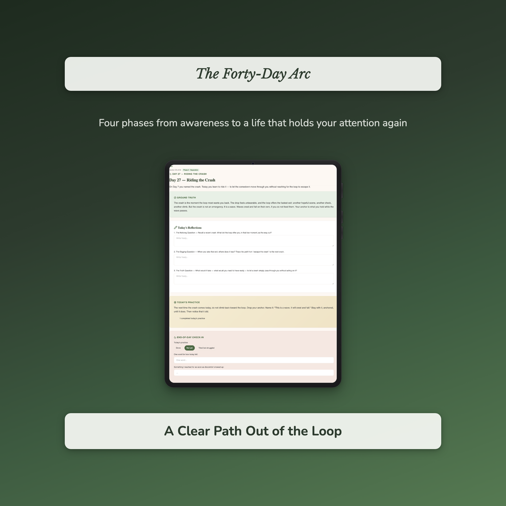 Limerence Workbook & 40-Day Journal – Let Go of the Loop – Interactive Digital Guide
