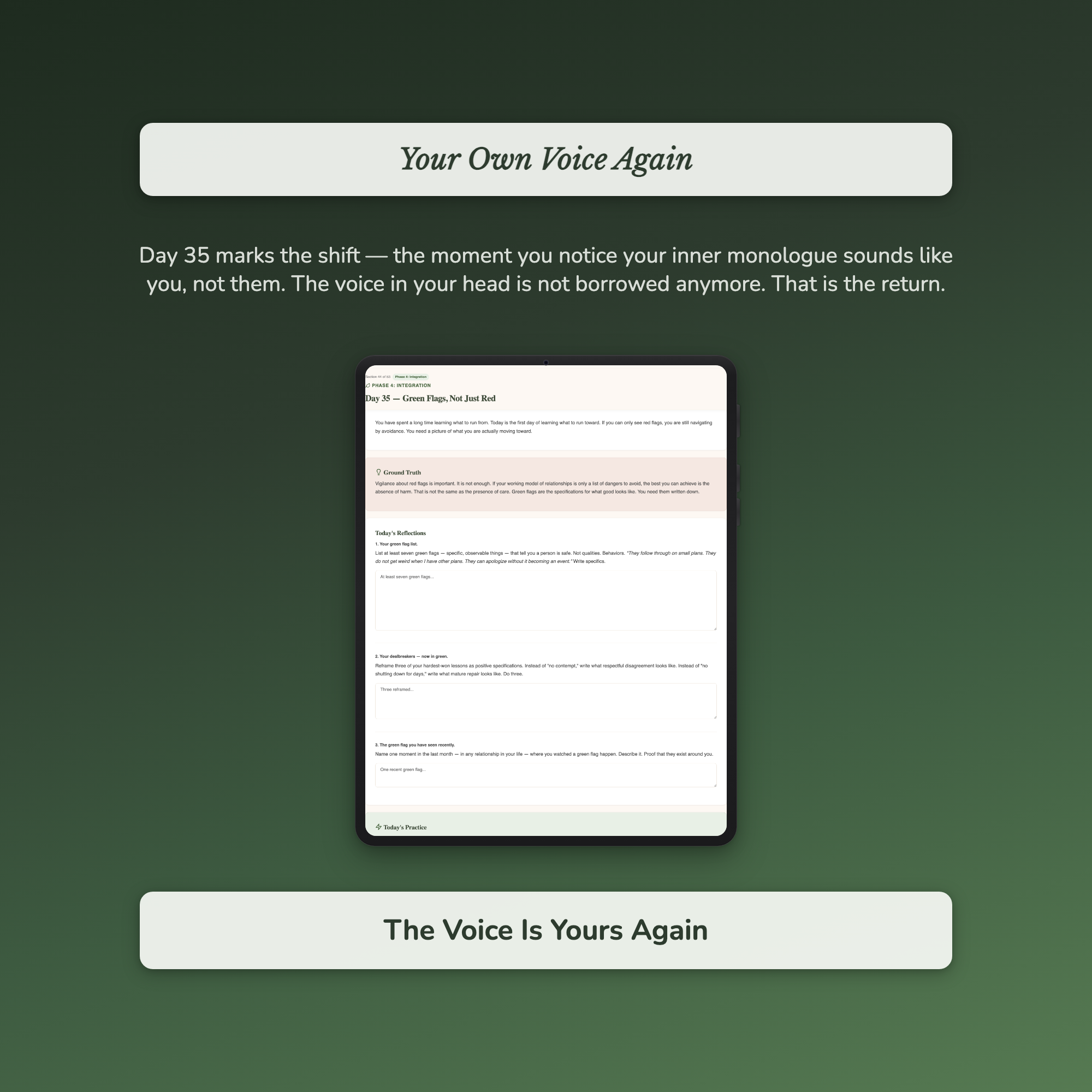 Toxic Relationship Recovery Workbook & 40-Day Guide — sample profile or chart