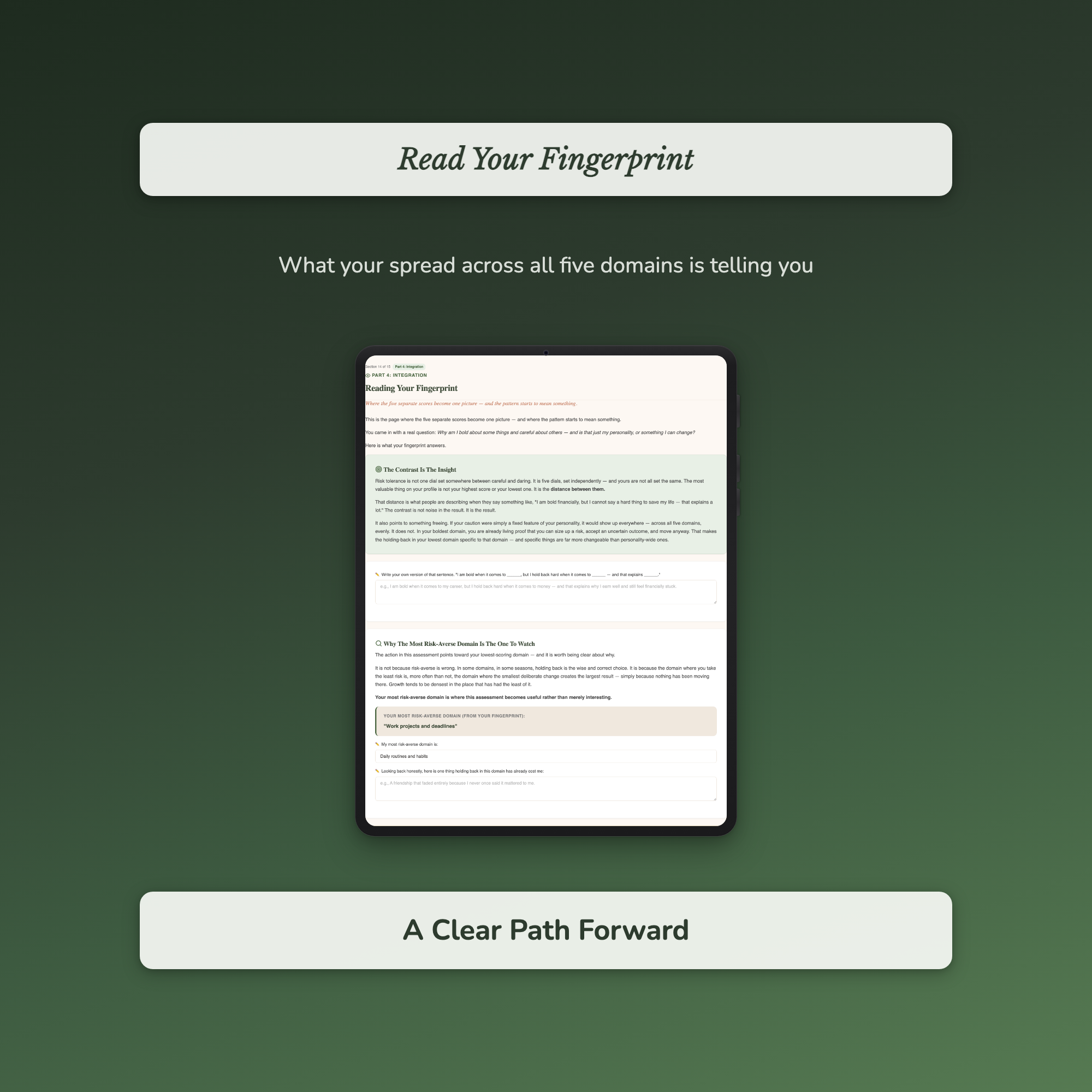Risk Tolerance Quiz & Workbook – Bold Here, Cautious There – Interactive Self-Assessment