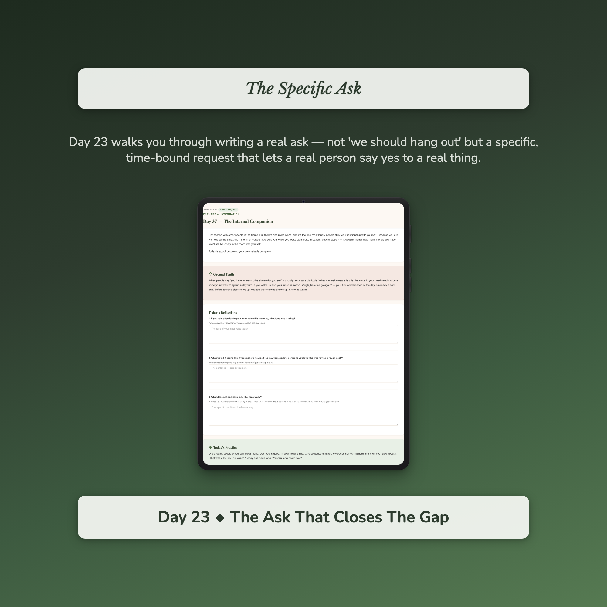 Loneliness Workbook & 40-Day Guide — sample profile or chart