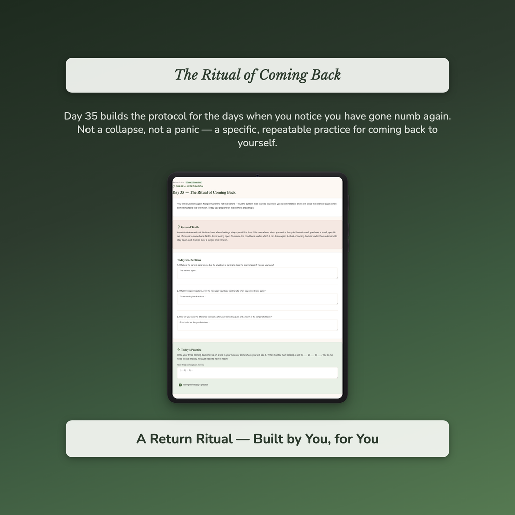 Emotional Numbness Workbook & 40-Day Guide — sample profile or chart