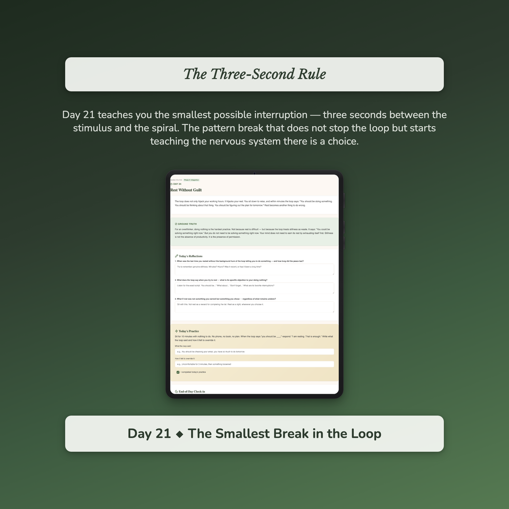 Overthinking Workbook & 40-Day Guide — sample profile or chart