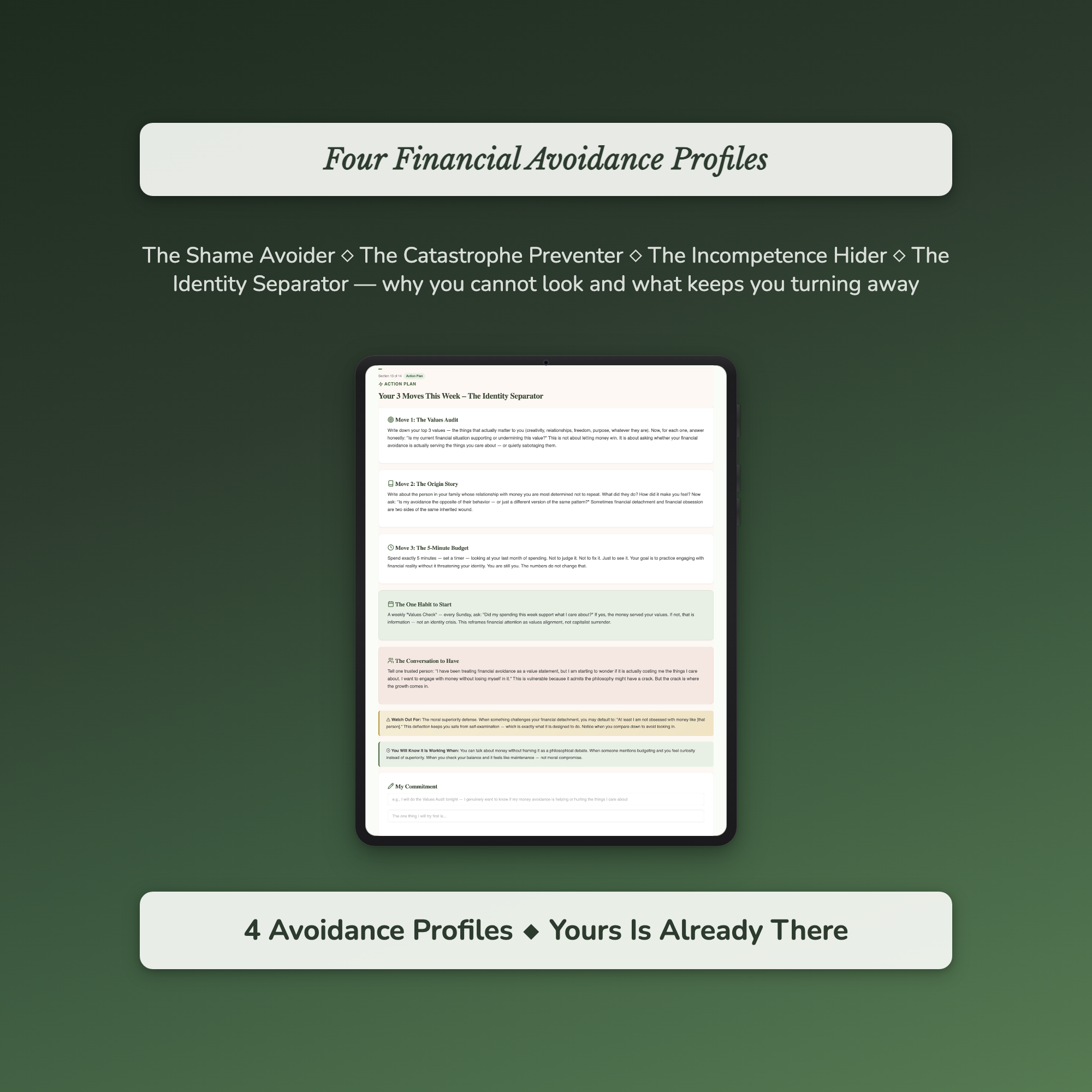 Money Avoidance Profile — sample profile or chart