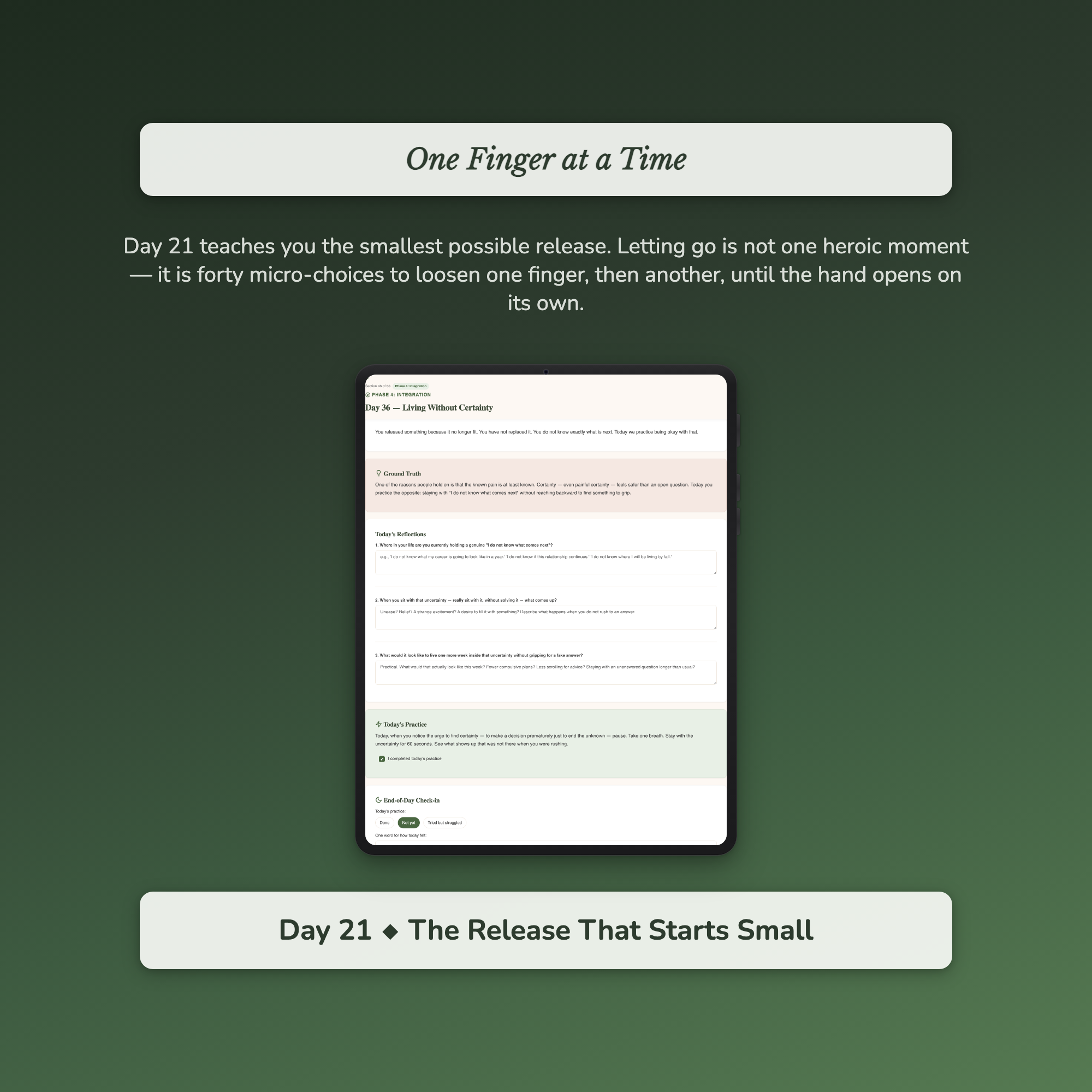 Letting Go Workbook & 40-Day Guide — sample profile or chart