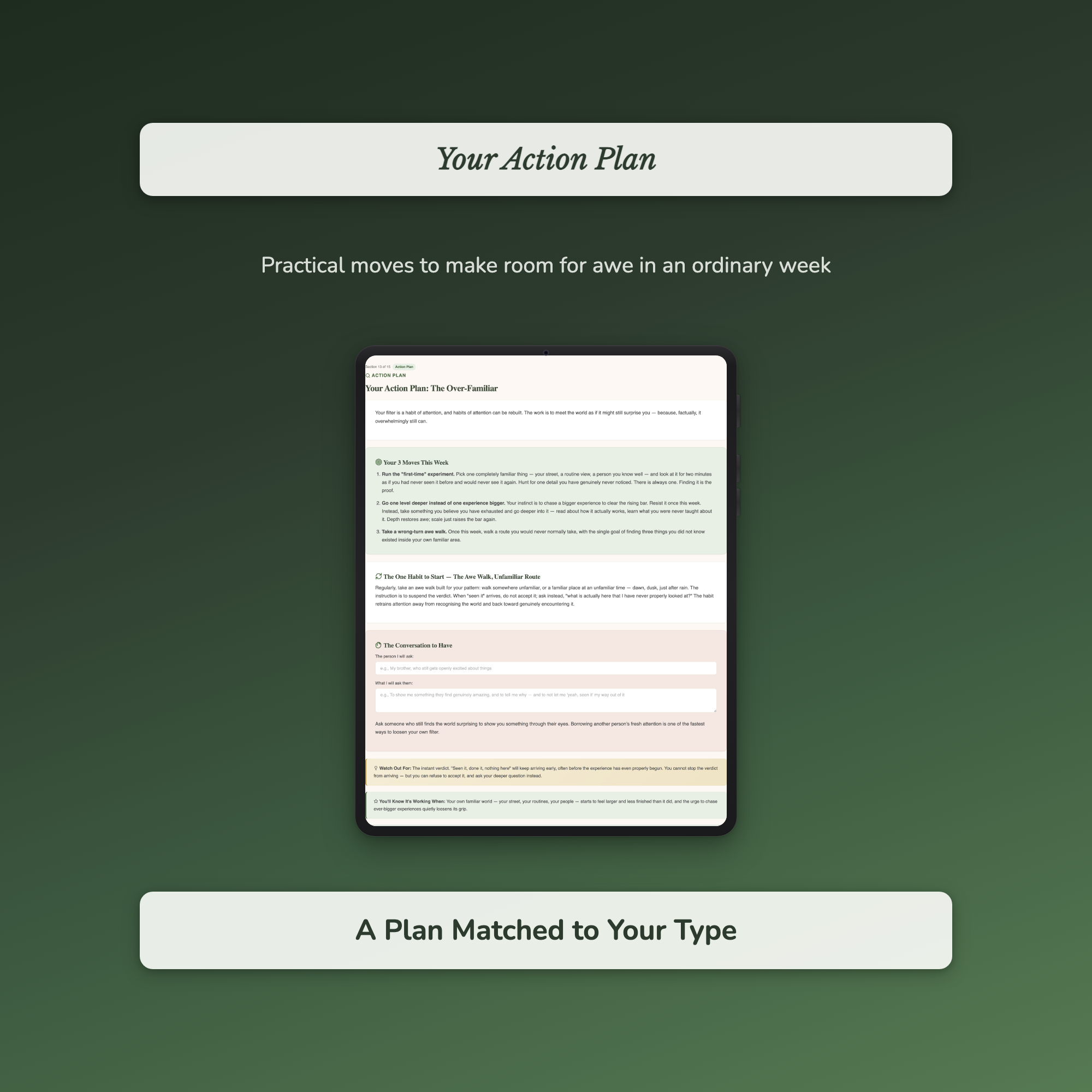 Wonder Quiz & Workbook – When Did You Last Feel Awe? – Interactive Self-Assessment