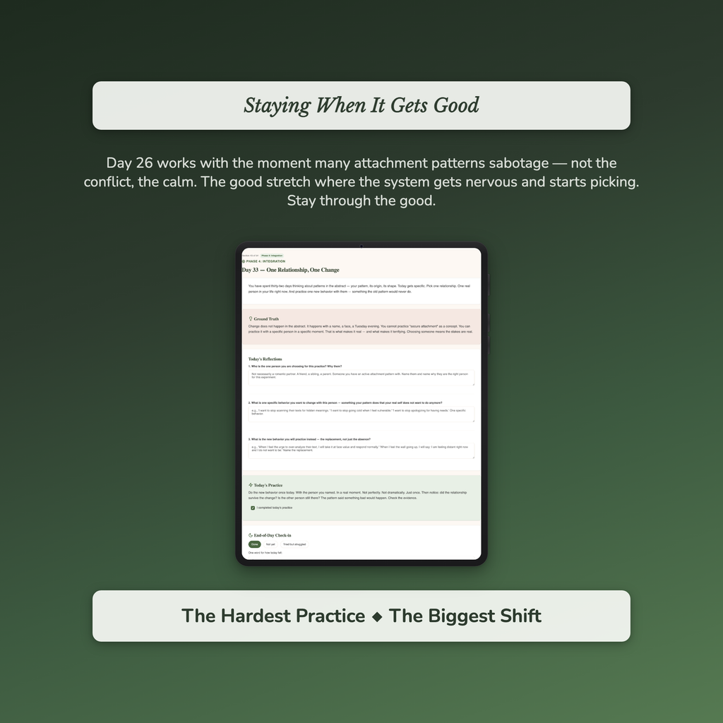 Attachment Style Workbook & 40-Day Guide — sample profile or chart