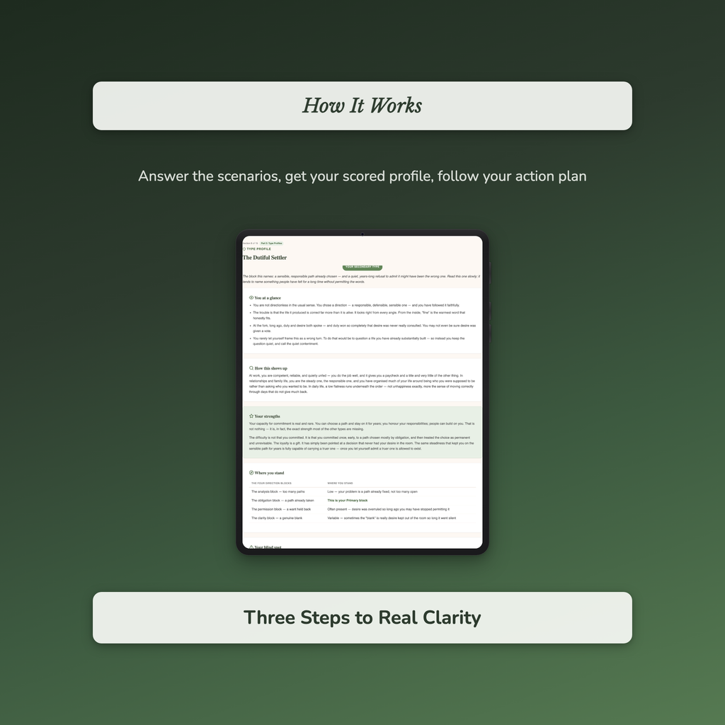 Life Direction Quiz & Workbook – Can't Figure Out My Path – Interactive Self-Assessment