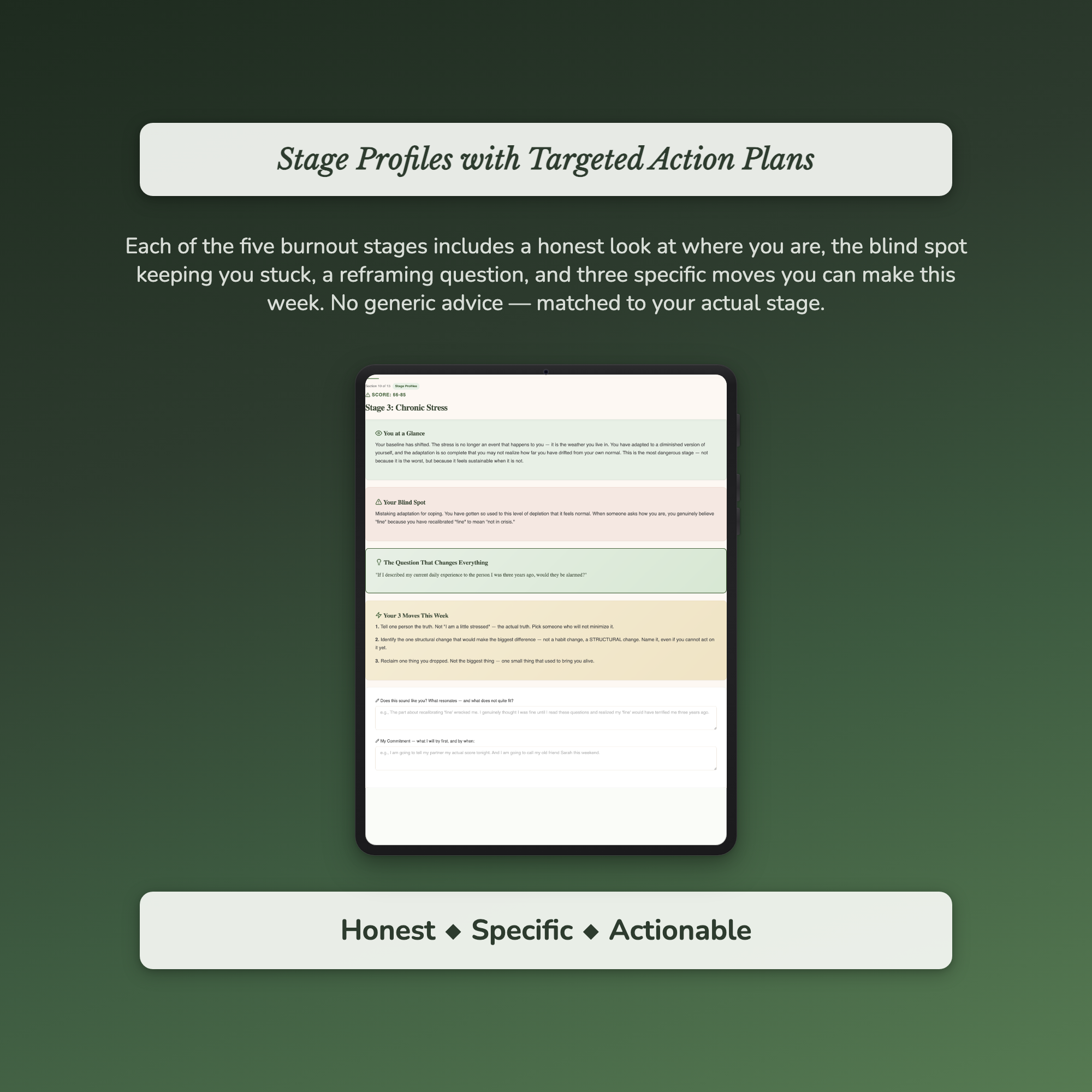 Burnout Risk Profile — sample profile or chart