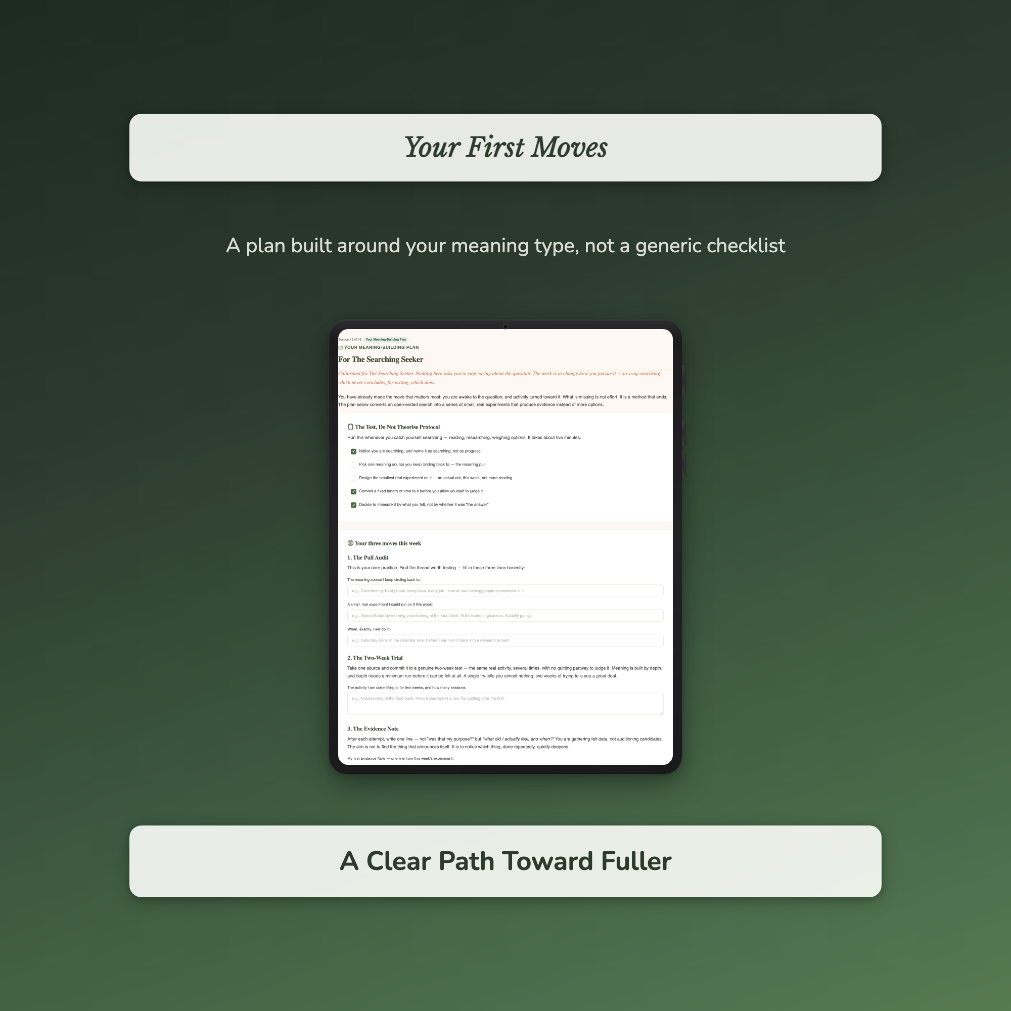 Meaning Quiz & Workbook – Is This Really All There Is? – Interactive Self-Assessment