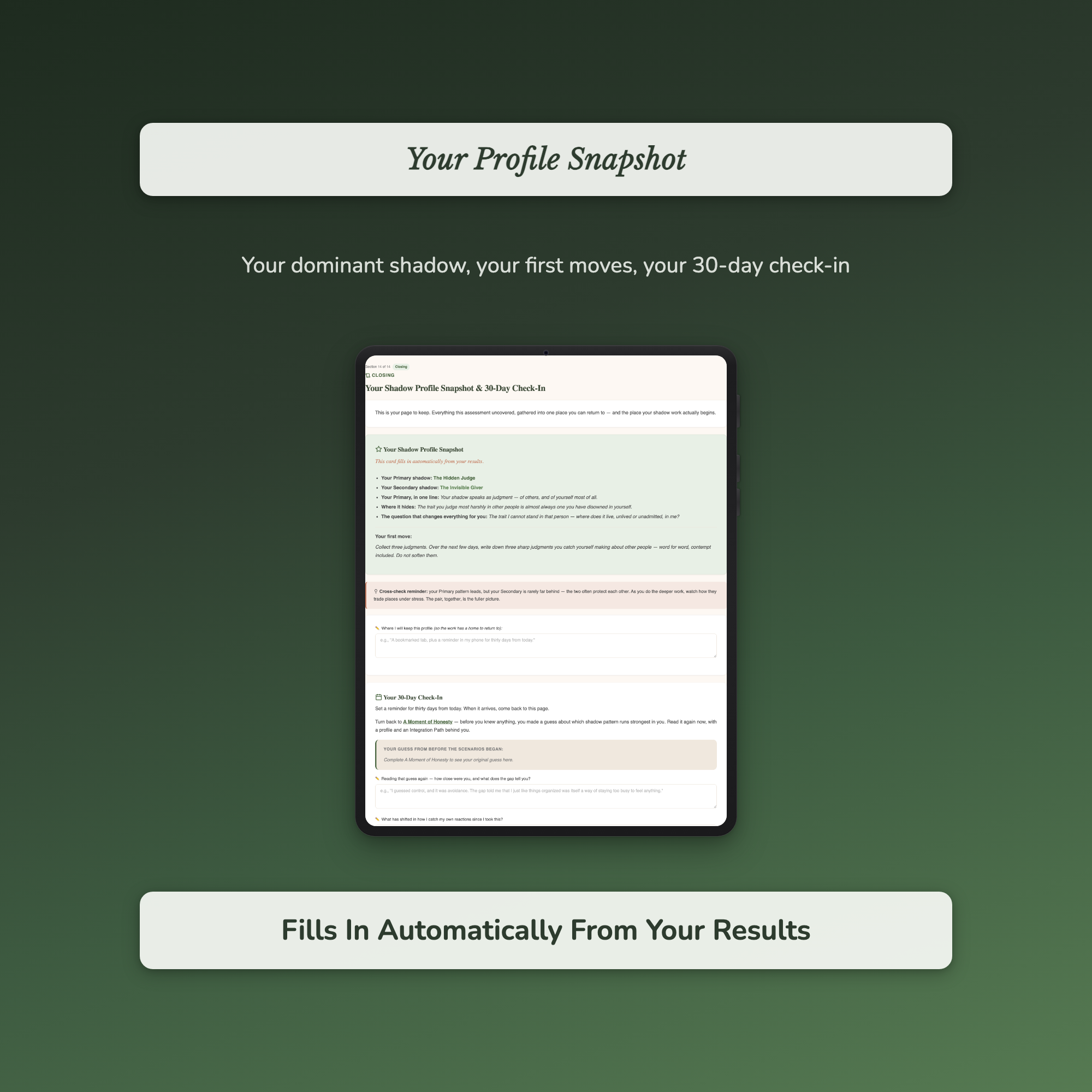 Shadow Work Quiz & Workbook – Which Shadow Is Running You – Interactive Self-Assessment