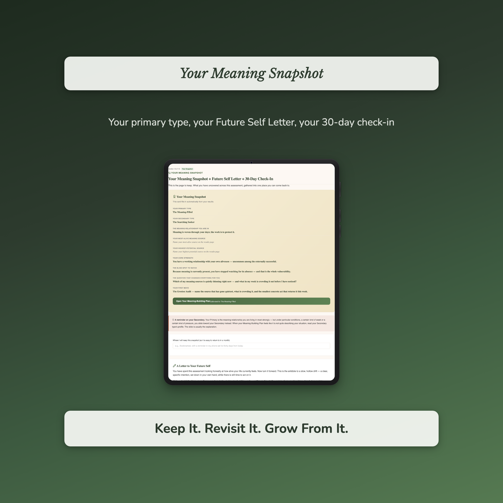 Meaning Quiz & Workbook – Is This Really All There Is? – Interactive Self-Assessment