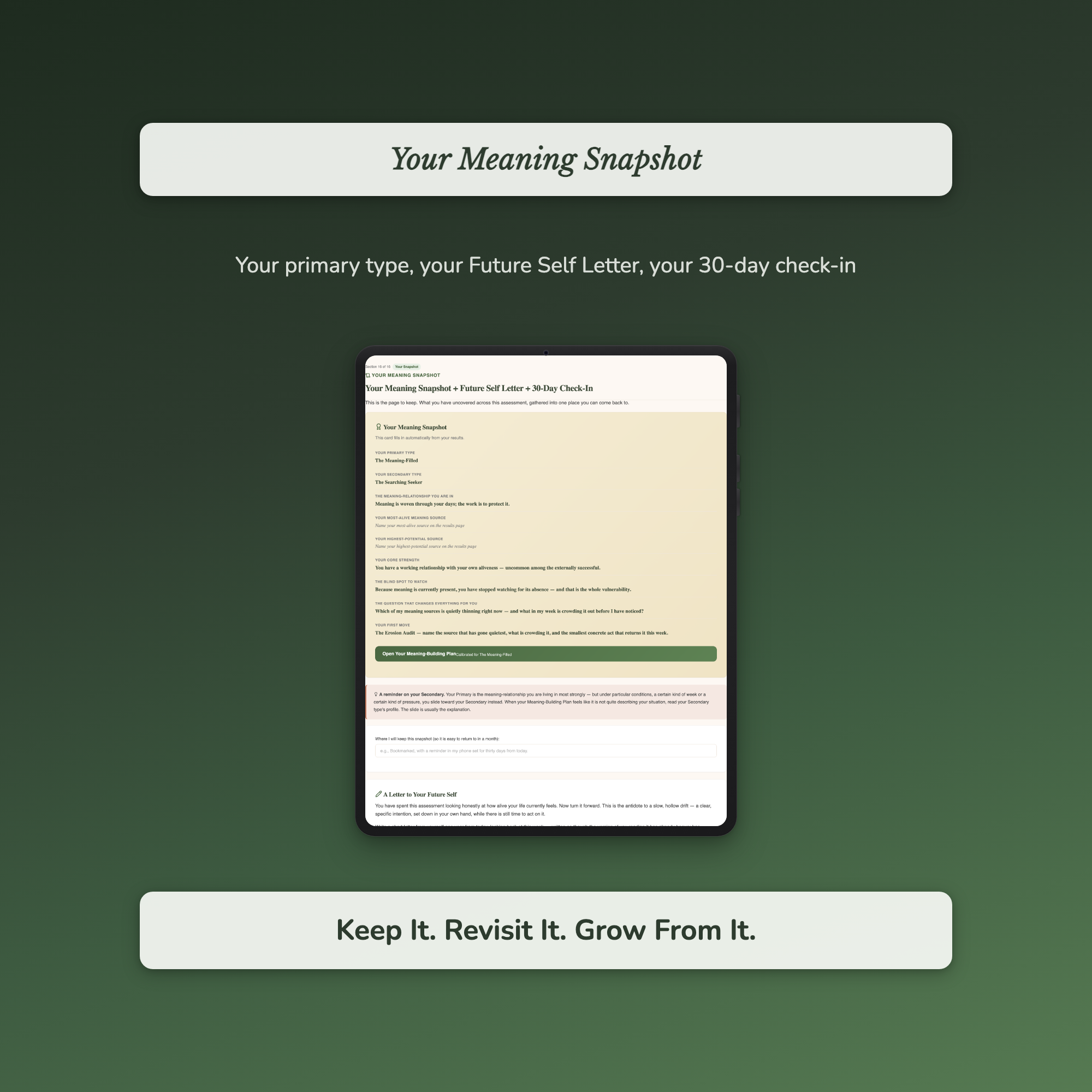Meaning Quiz & Workbook – Is This Really All There Is? – Interactive Self-Assessment