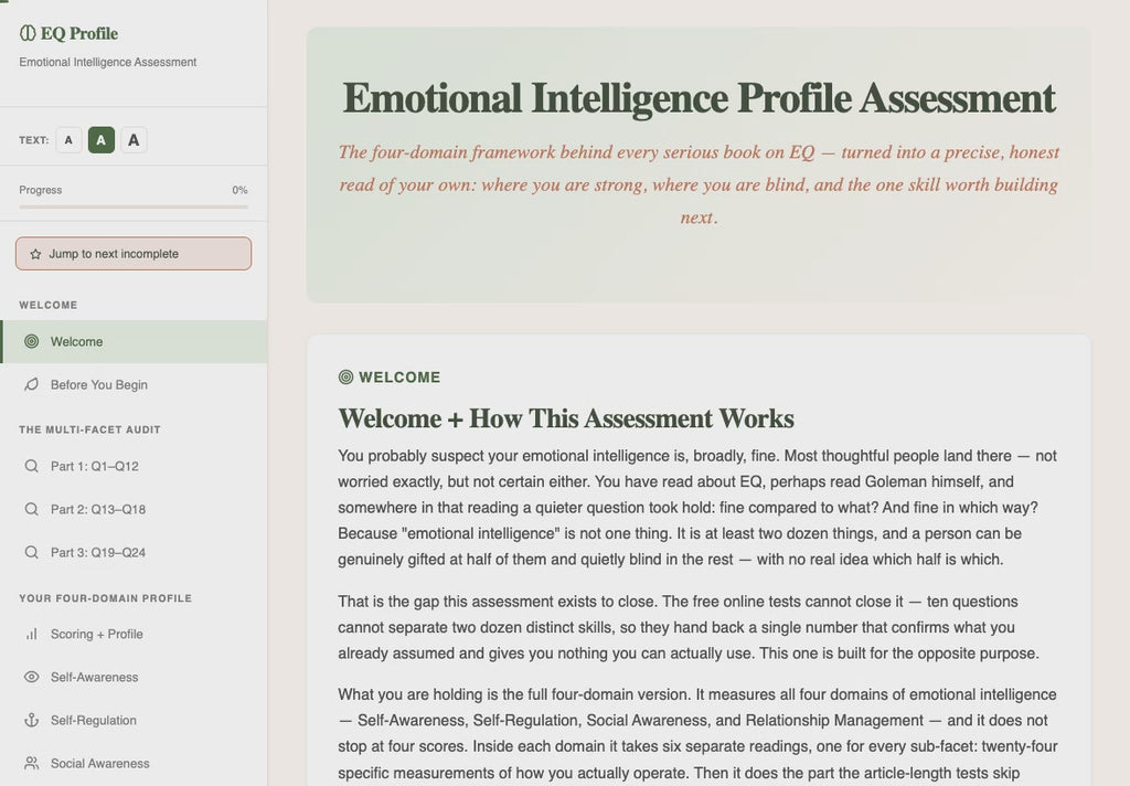 emotional-intelligence-profile-assessment walkthrough video