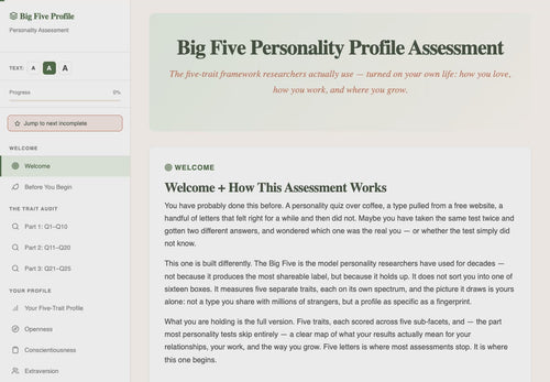 big-five-personality-profile-assessment walkthrough video