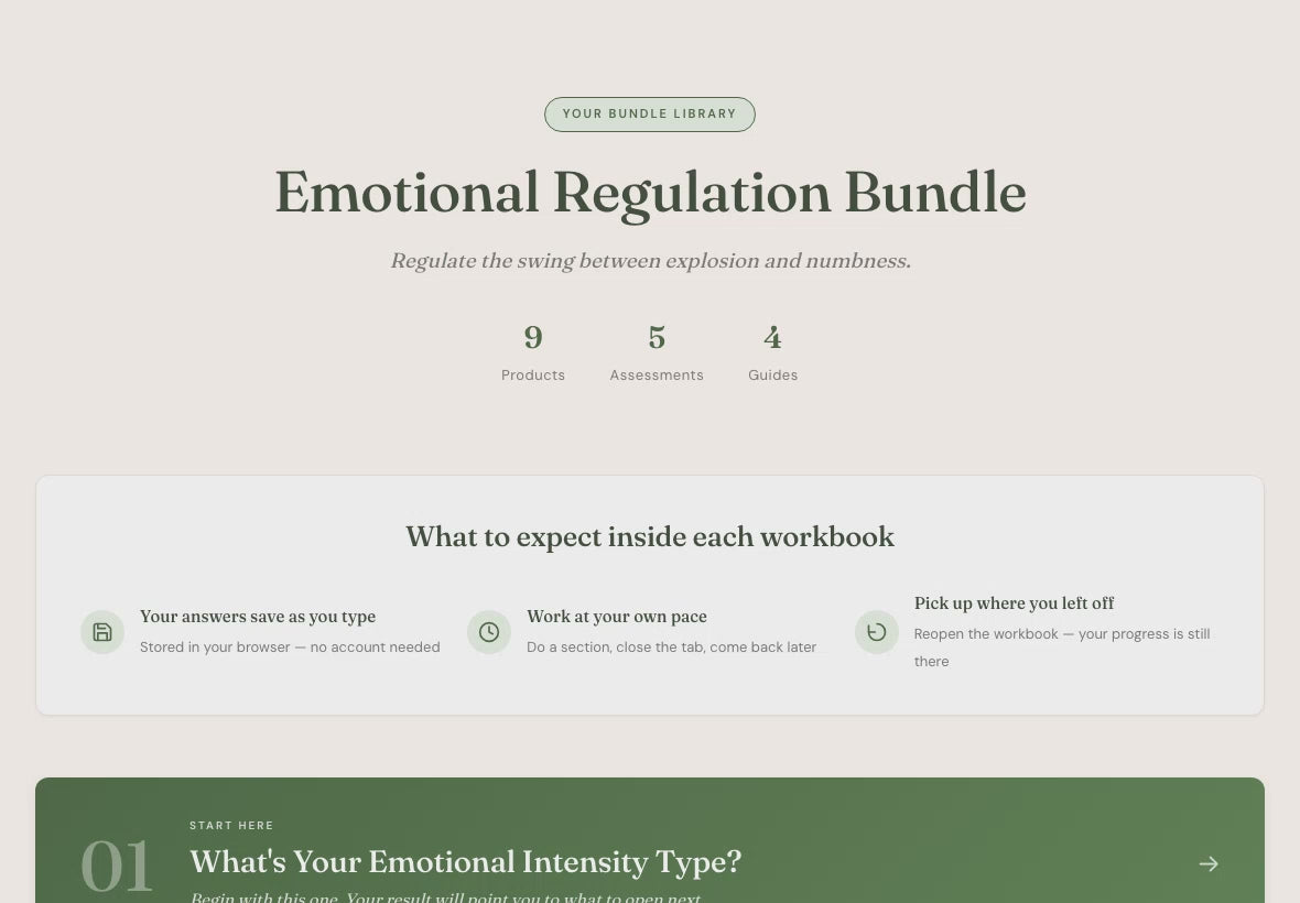 emotional-regulation walkthrough video