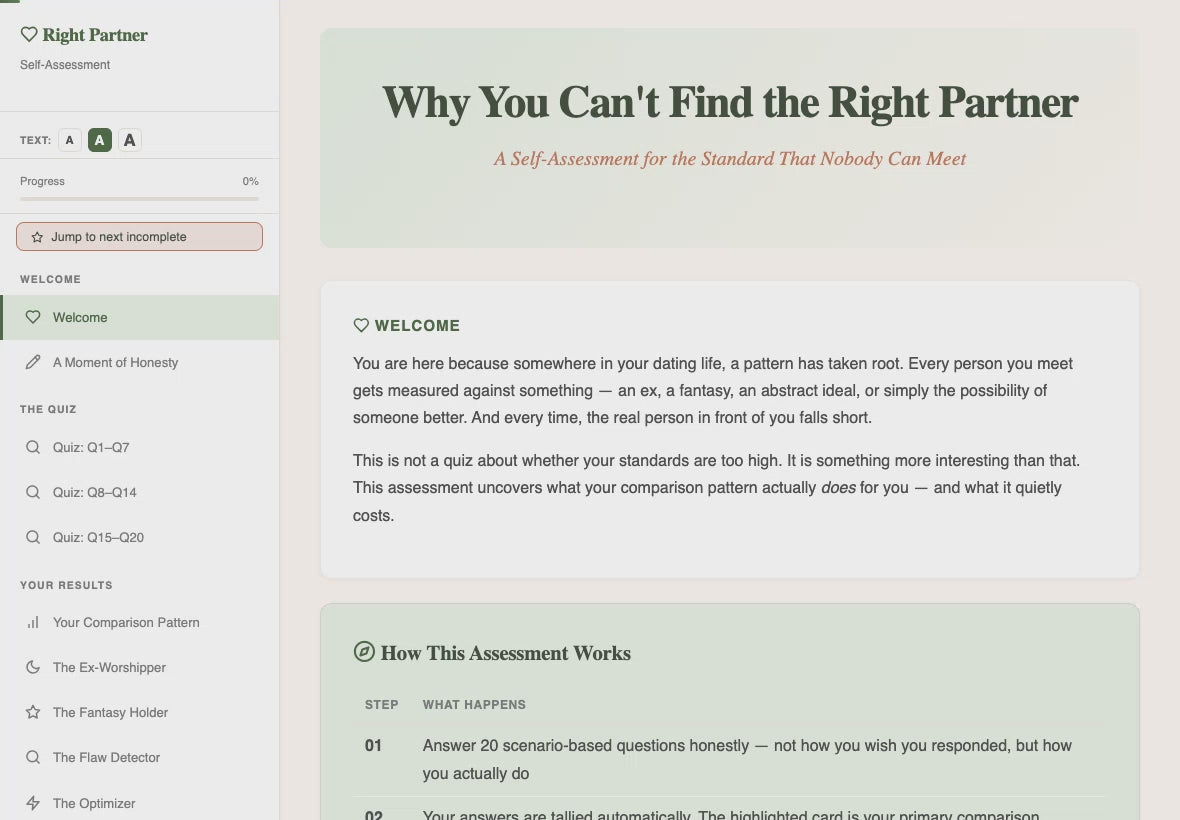 why-you-cant-find-the-right-partner walkthrough video