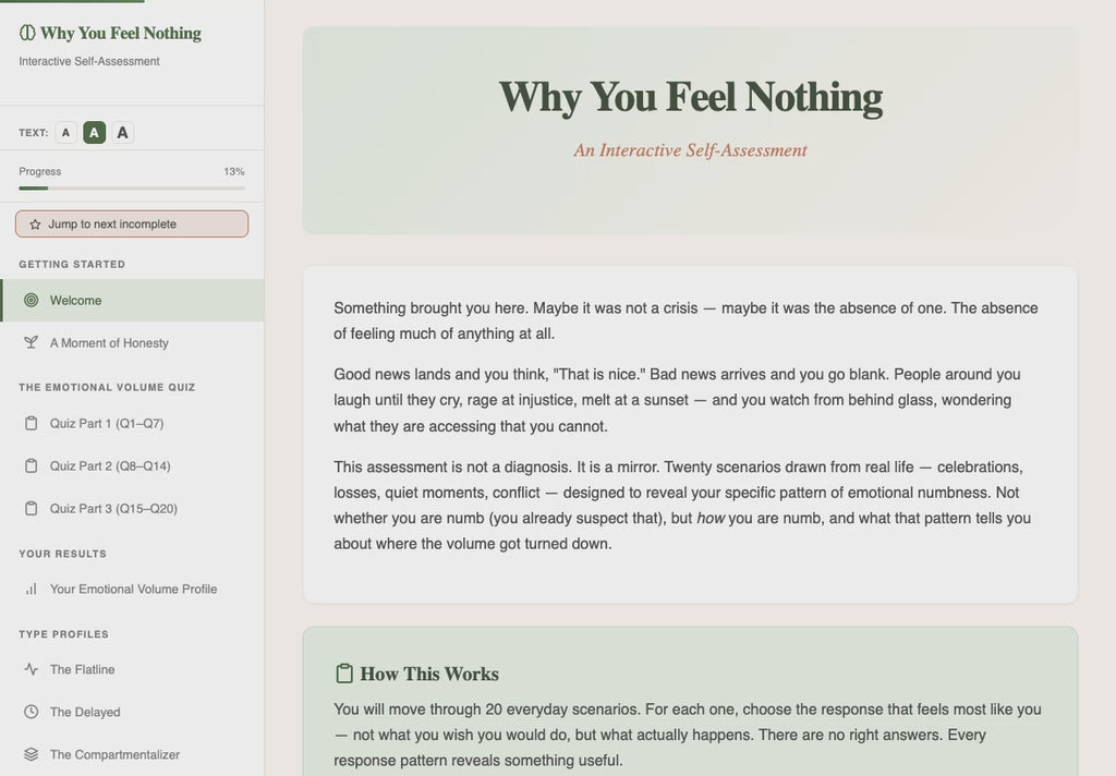 why-you-feel-nothing walkthrough video