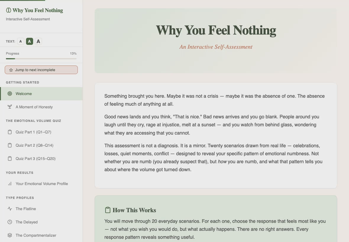 why-you-feel-nothing walkthrough video
