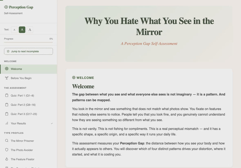 why-you-hate-what-you-see-in-the-mirror walkthrough video