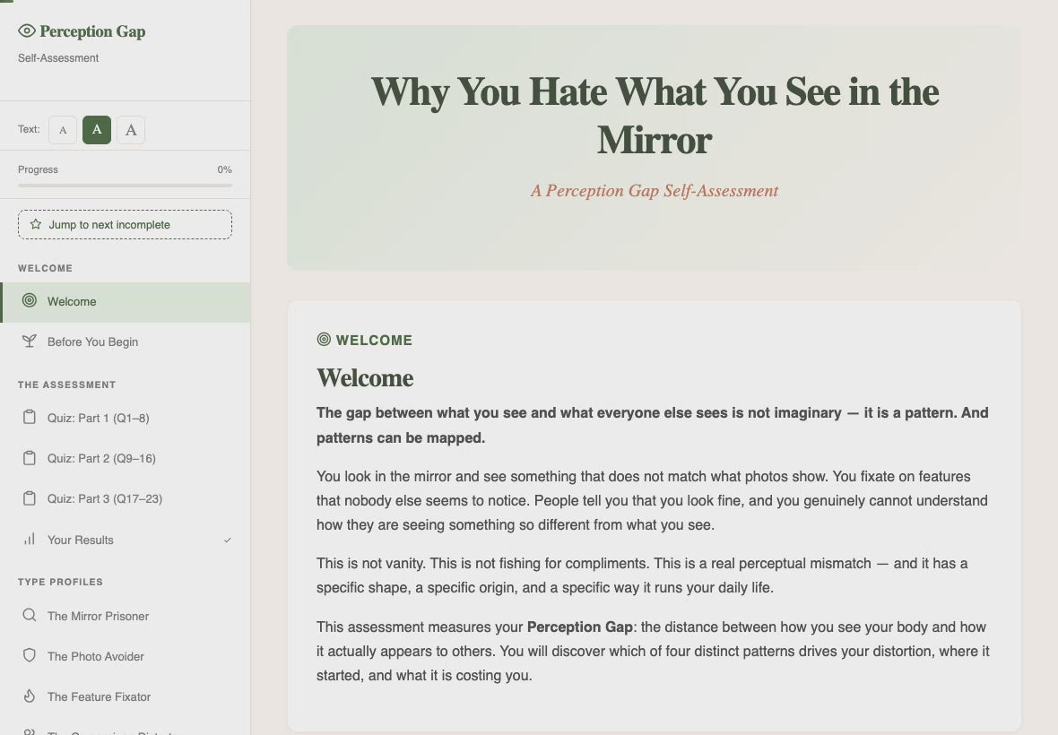 why-you-hate-what-you-see-in-the-mirror walkthrough video