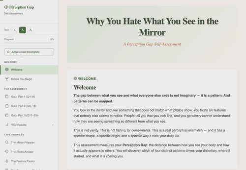 why-you-hate-what-you-see-in-the-mirror walkthrough video